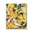 thumbnail image 1 of Stupell Industries Mixed Autumn Gourd Arrangement Photograph Gallery Wrapped Canvas Print Wall Art, Design by Lil' Rue, 1 of 7