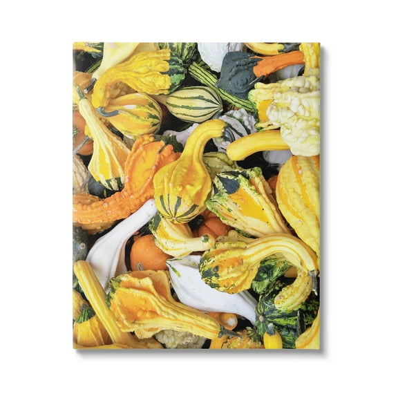 Stupell Industries Mixed Autumn Gourd Arrangement Photograph Gallery Wrapped Canvas Print Wall Art, Design by Lil' Rue