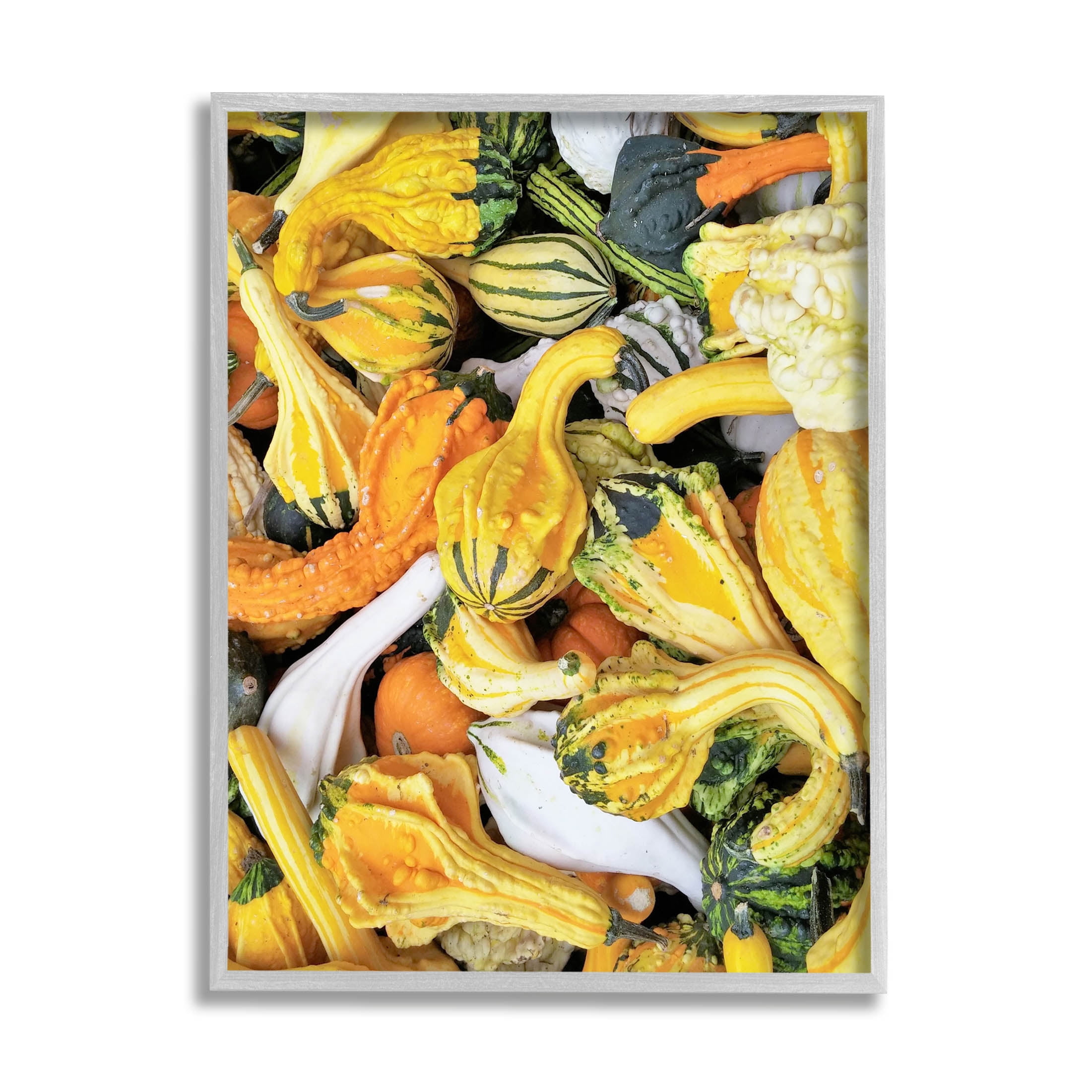Stupell Industries Mixed Autumn Gourd Arrangement Photograph Gray Framed Art Print Wall Art, Design by Lil' Rue