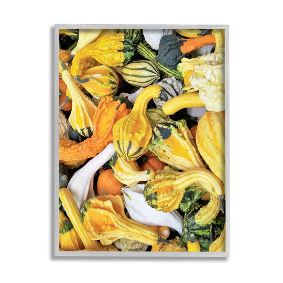 Stupell Industries Mixed Autumn Gourd Arrangement Photograph Gray Framed Art Print Wall Art, Design by Lil' Rue