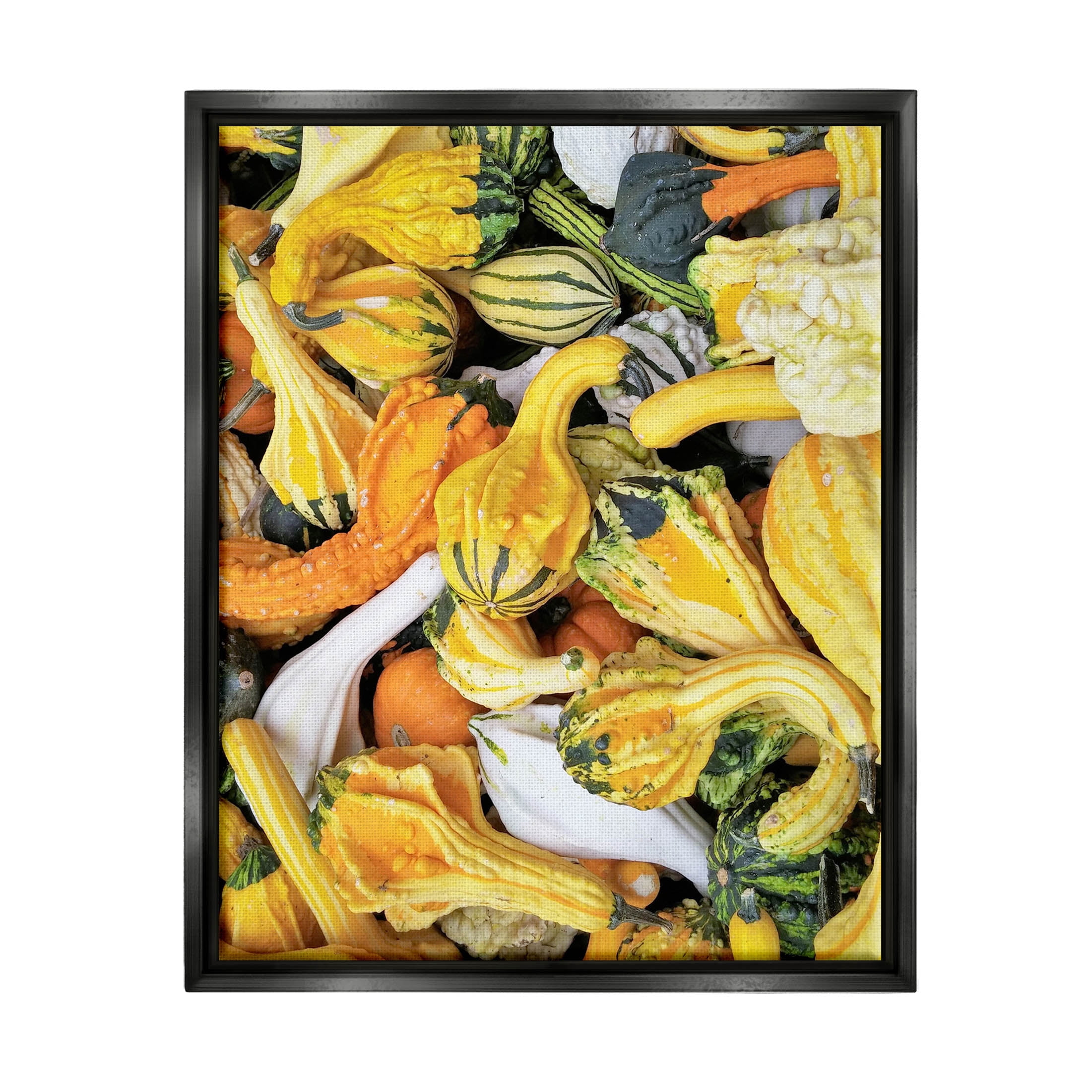 Stupell Industries Mixed Autumn Gourd Arrangement Photograph Jet Black Floating Framed Canvas Print Wall Art, Design by Lil' Rue