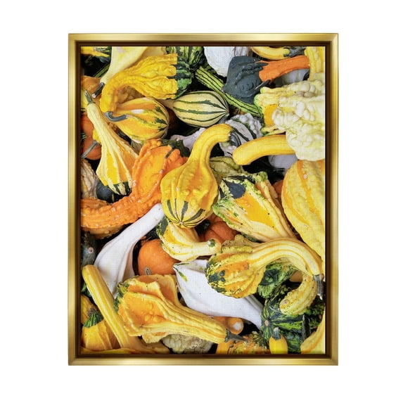 Stupell Industries Mixed Autumn Gourd Arrangement Photograph Metallic Gold Floating Framed Canvas Print Wall Art, Design by Lil' Rue