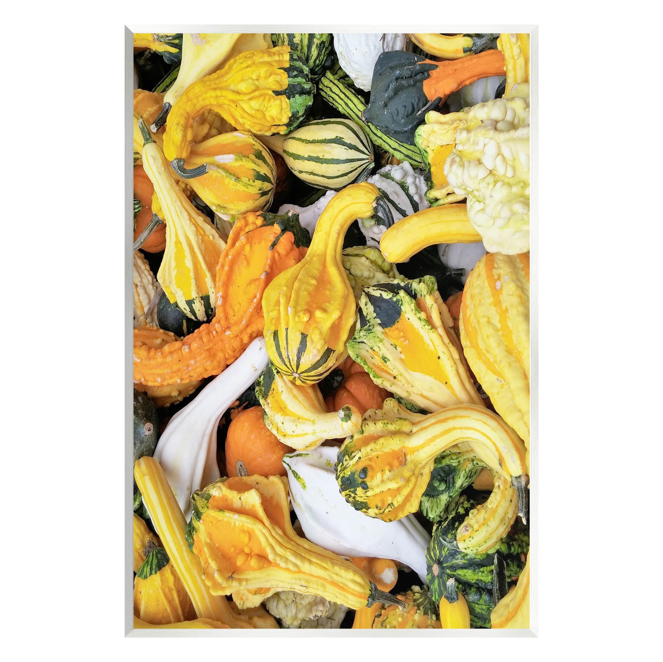 Stupell Industries Mixed Autumn Gourd Arrangement Photograph Unframed Art Print Wall Art, Design by Lil' Rue