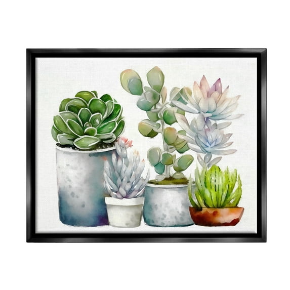 Stupell Industries Mixed Botanicals Floral Succulents Botanical & Floral Painting Black Floater Framed Art Print Wall Art