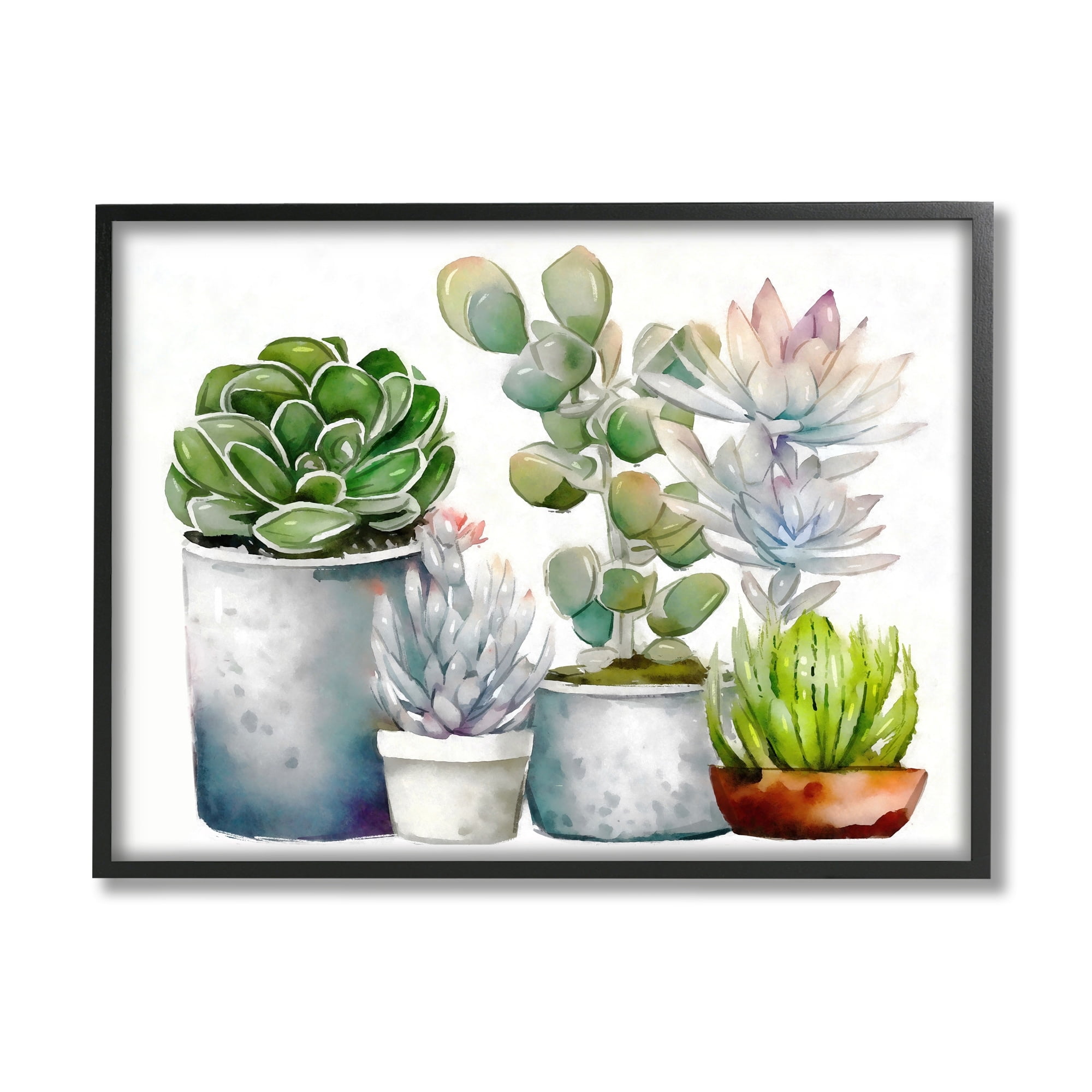 Stupell Industries Mixed Botanicals Floral Succulents Botanical & Floral Painting Black Framed Art Print Wall Art