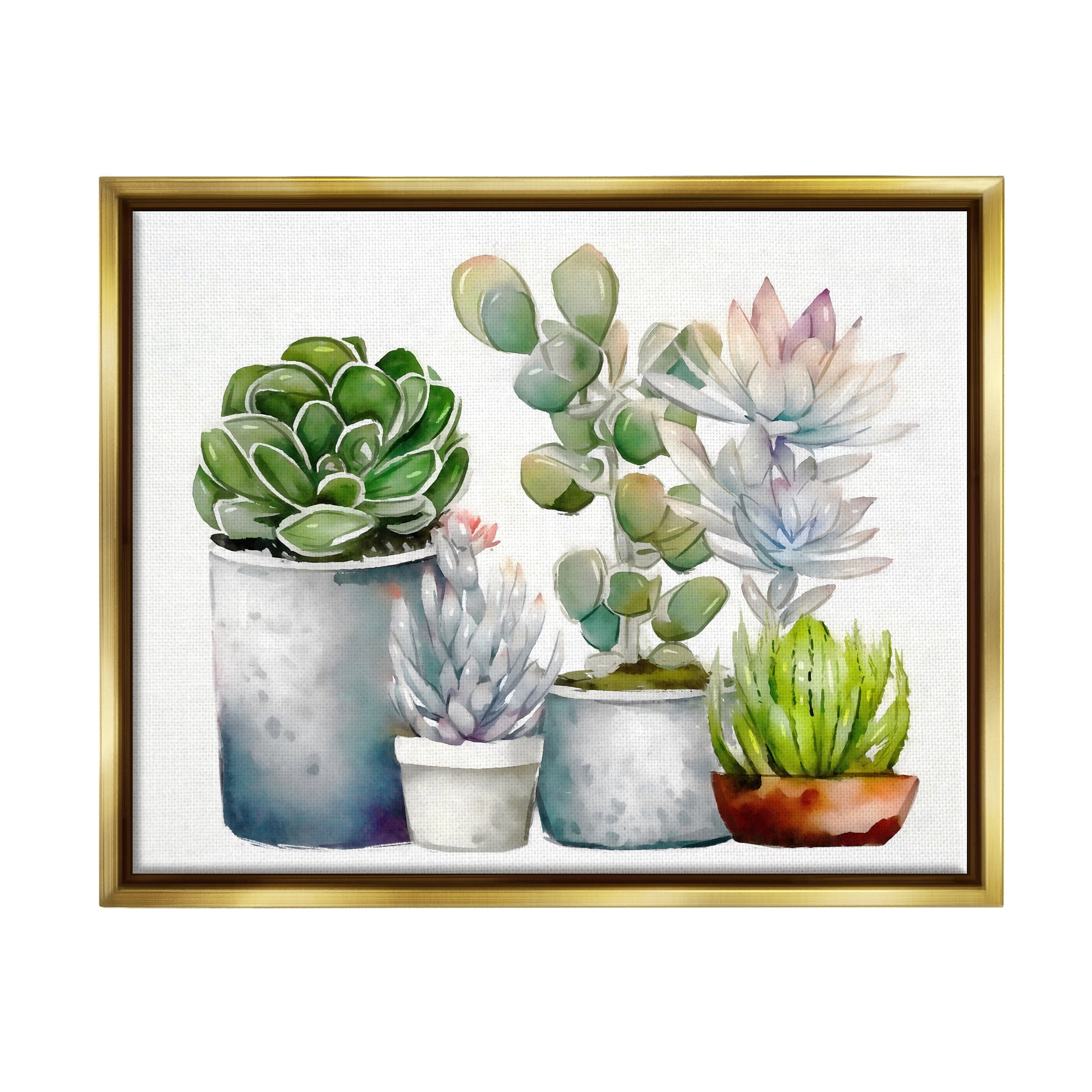 Stupell Industries Mixed Botanicals Floral Succulents Botanical & Floral Painting Gold Floater Framed Art Print Wall Art
