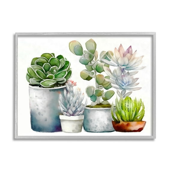 Stupell Industries Mixed Botanicals Floral Succulents Botanical & Floral Painting Gray Framed Art Print Wall Art
