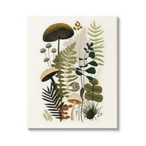 Stupell Industries Mixed Earthy Botanicals Botanical & Floral Painting Gallery Wrapped Canvas Art Print Wall Art, 16 x 20