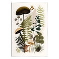 thumbnail image 1 of Stupell Industries Mixed Earthy Botanicals Botanical & Floral Painting Unframed Art Print Wall Art, 13 x 19, 1 of 7