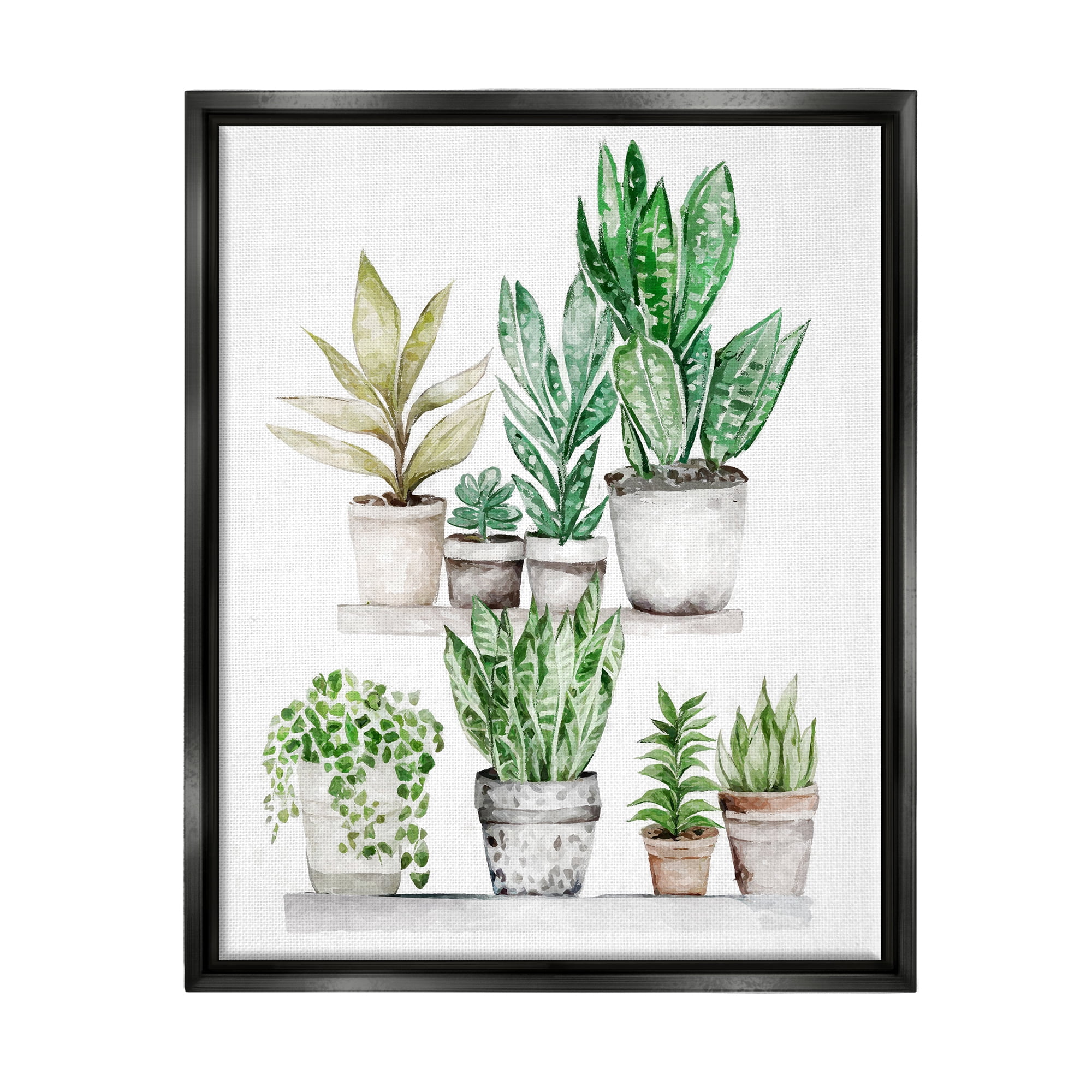 Stupell Industries Mixed Greenery Potted Ivy Plants Botanical & Floral Painting Black Floater Framed Art Print Wall Art