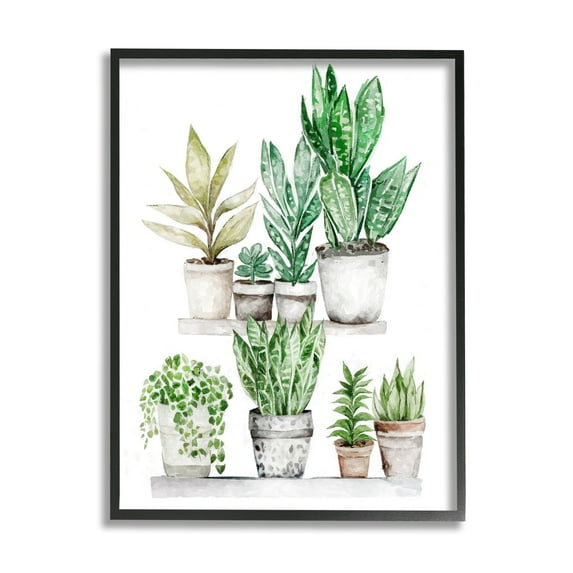 Stupell Industries Mixed Greenery Potted Ivy Plants Botanical & Floral Painting Black Framed Art Print Wall Art