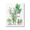 thumbnail image 1 of Stupell Industries Mixed Greenery Potted Ivy Plants Botanical & Floral Painting Gallery Wrapped Canvas Print Wall Art, 1 of 7