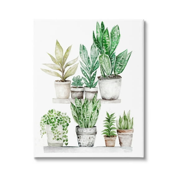 Stupell Industries Mixed Greenery Potted Ivy Plants Botanical & Floral Painting Gallery Wrapped Canvas Print Wall Art