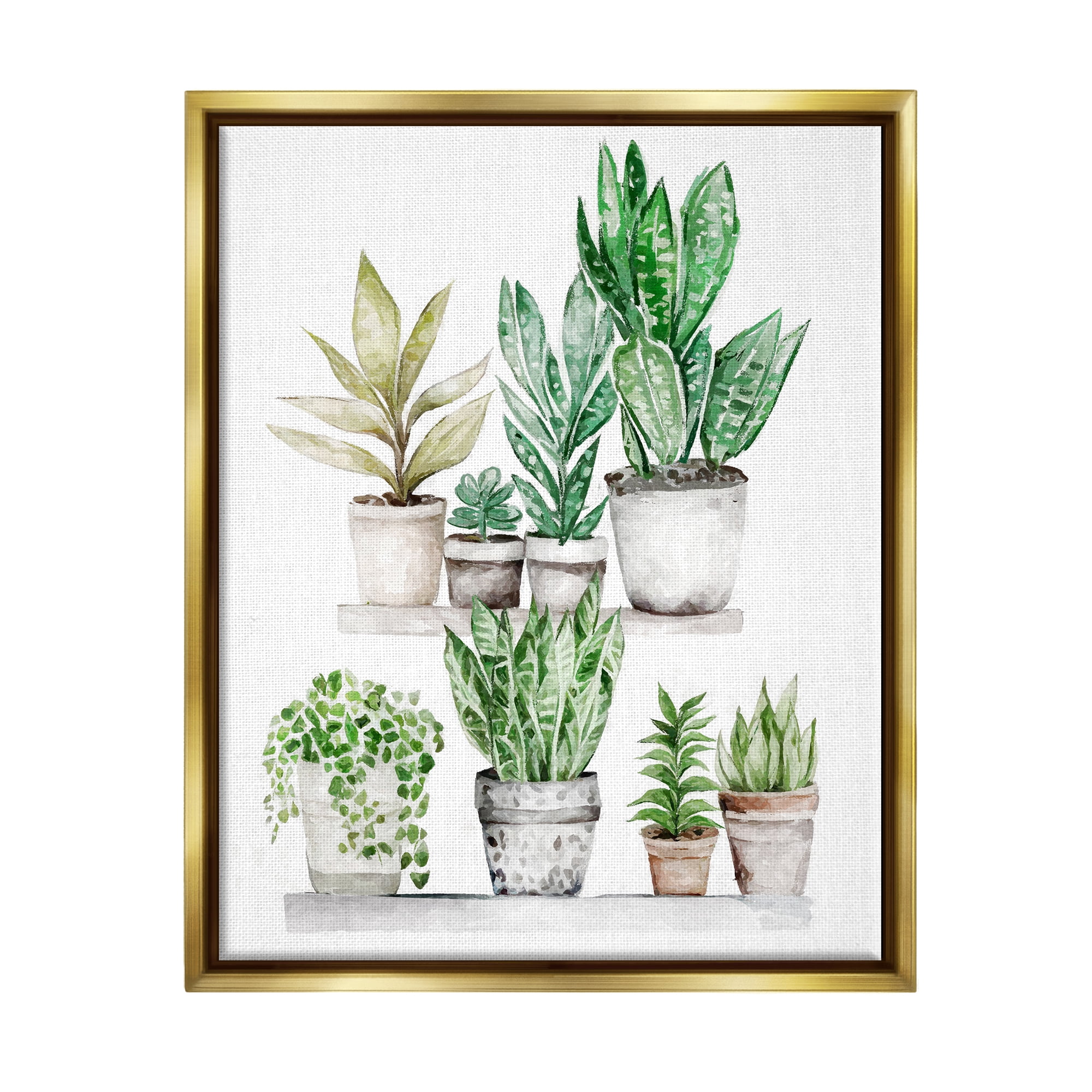 Stupell Industries Mixed Greenery Potted Ivy Plants Botanical & Floral Painting Gold Floater Framed Art Print Wall Art