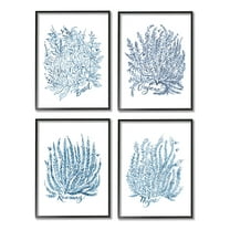 Stupell Industries Mixed Herbs Botanical Plants Graphic Art Black Framed Art Print Wall Art, Set of 4, Design by Laura Marr