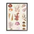 thumbnail image 1 of Stupell Industries Mixed Nautical Sea Life Corals Shells Graphic Art Black Framed Art Print Wall Art, Design by Vision Studio, 1 of 7