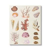 Stupell Industries Mixed Nautical Sea Life Corals Shells Graphic Art Gallery Wrapped Canvas Print Wall Art, Design by Vision Studio