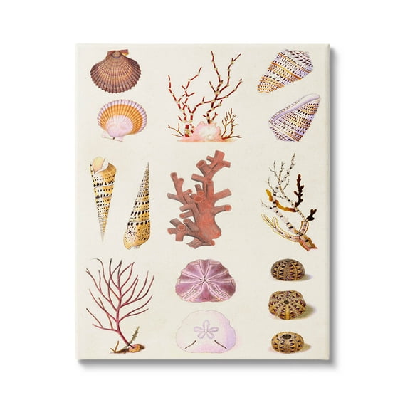 Stupell Industries Mixed Nautical Sea Life Corals Shells Graphic Art Gallery Wrapped Canvas Print Wall Art, Design by Vision Studio