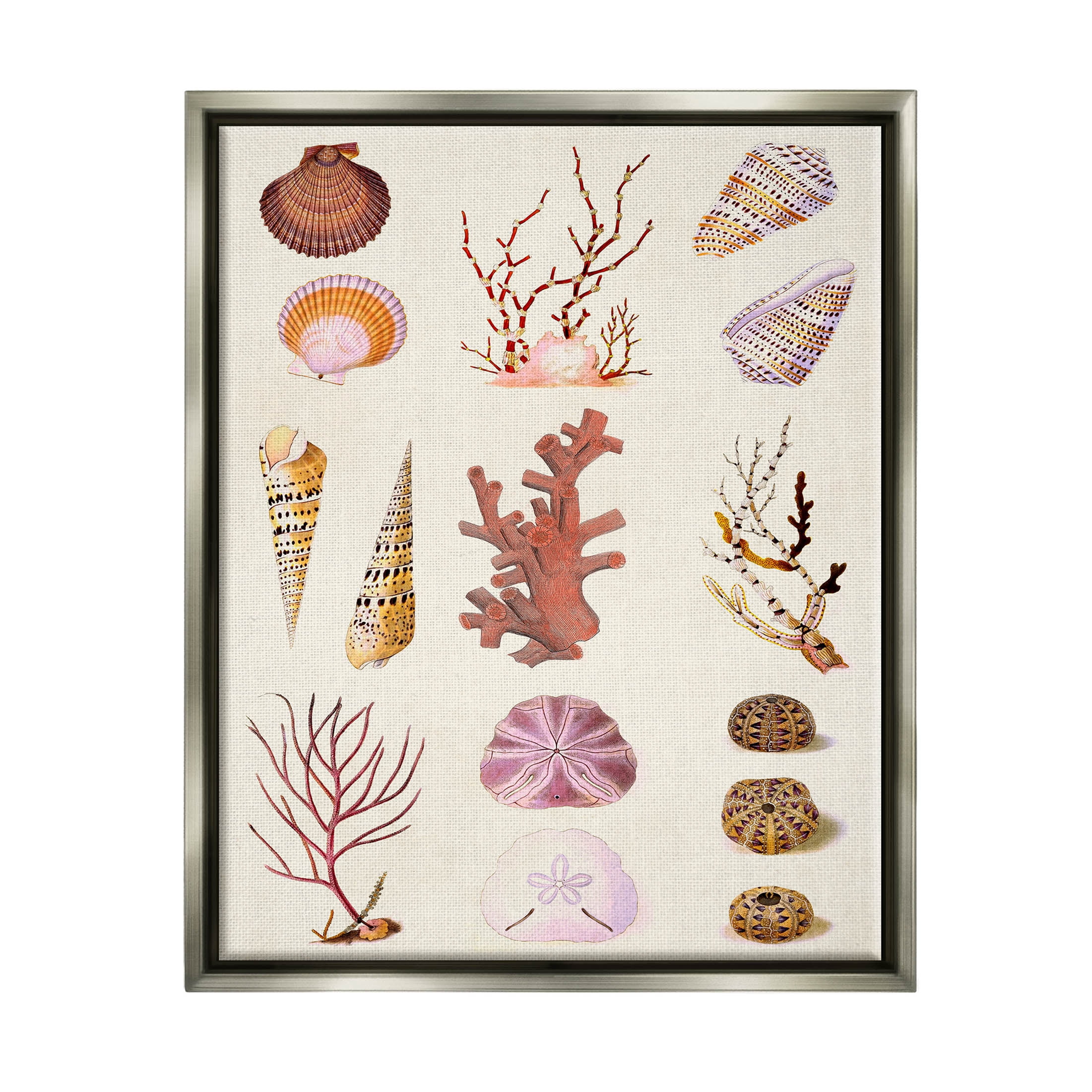 Stupell Industries Mixed Nautical Sea Life Corals Shells Graphic Art Luster Gray Floating Framed Canvas Print Wall Art, Design by Vision Studio