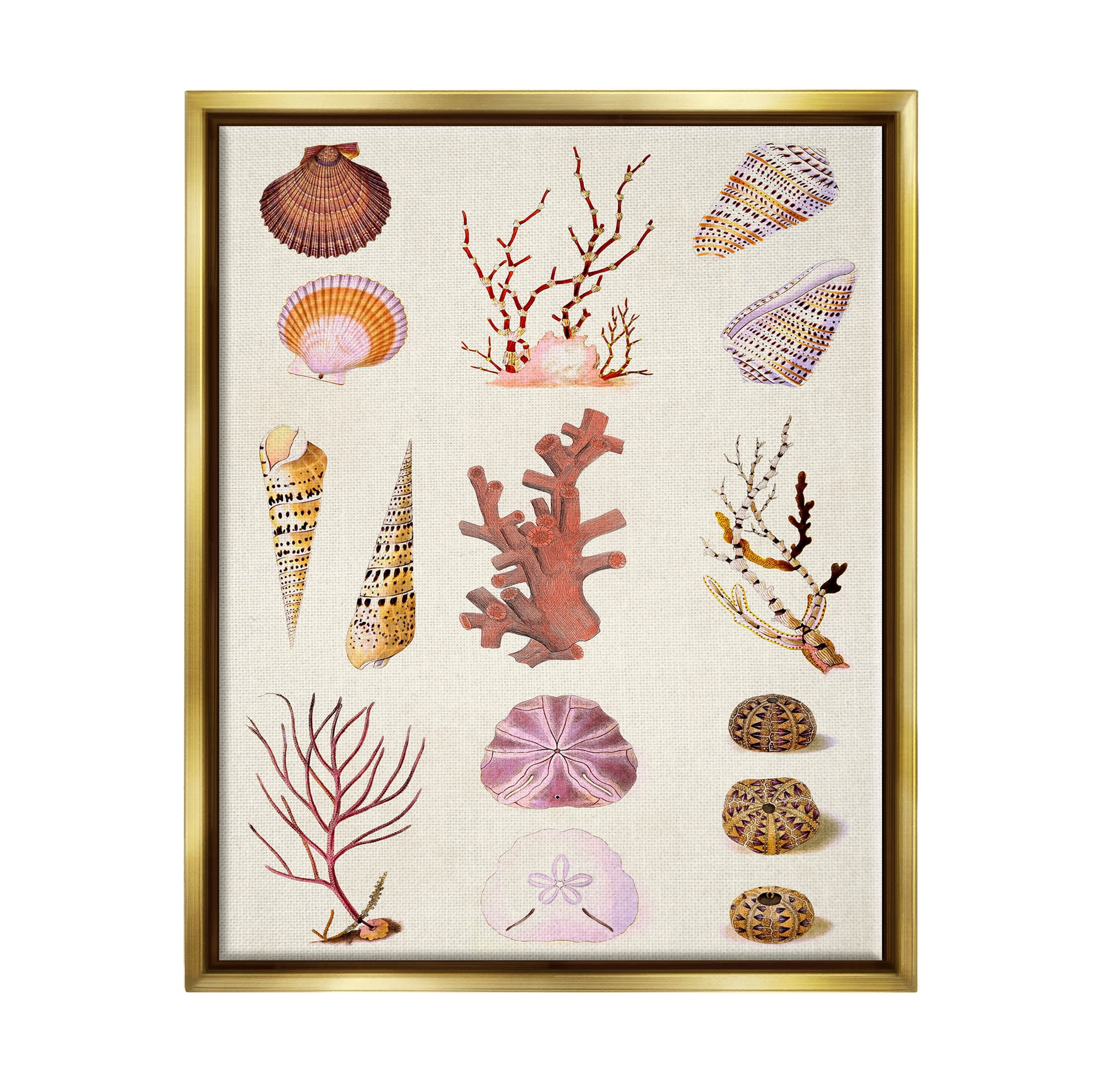 Stupell Industries Mixed Nautical Sea Life Corals Shells Graphic Art Metallic Gold Floating Framed Canvas Print Wall Art, Design by Vision Studio