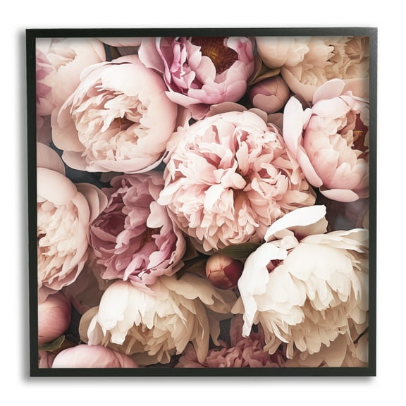 Stupell Industries Mixed Peonies Photography Botanical & Floral Photography Black Framed Art Print Wall Art, 12 x 12