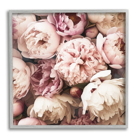 Stupell Industries Mixed Peonies Photography Botanical & Floral Photography Gray Framed Art Print Wall Art, 24 x 24
