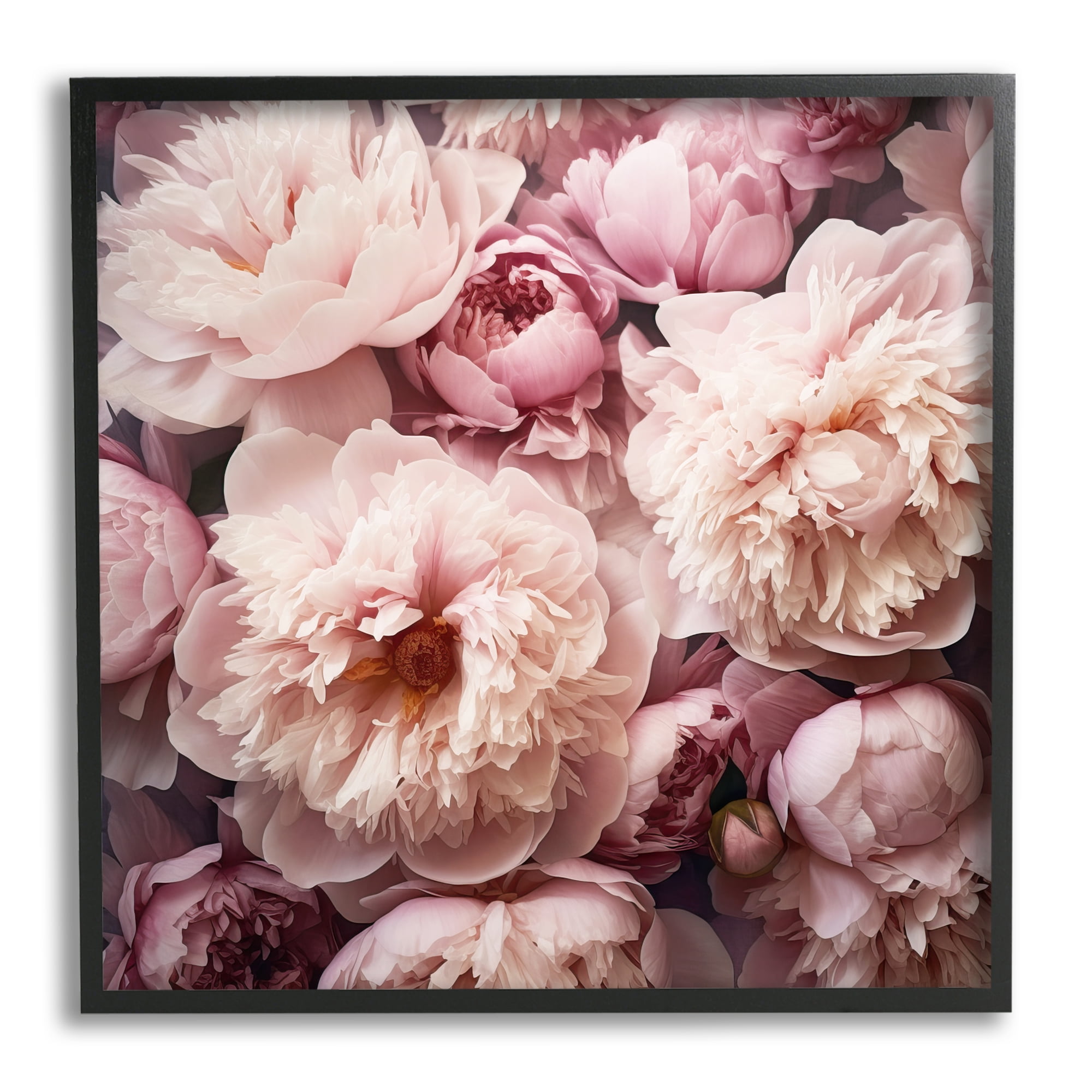 Stupell Industries Mixed Pink Floral Photography Botanical & Floral Photography Black Framed Art Print Wall Art, 24 x 24
