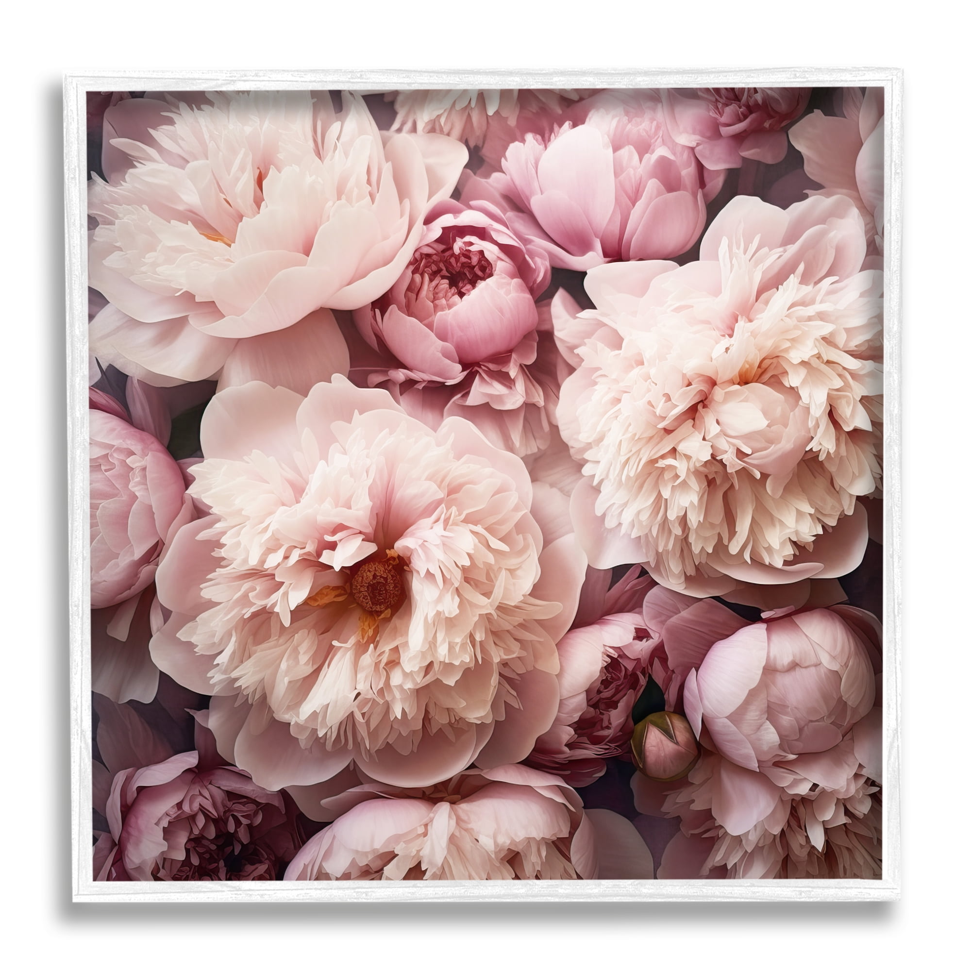 24" x 24" White Framed Pink Floral Canvas Print