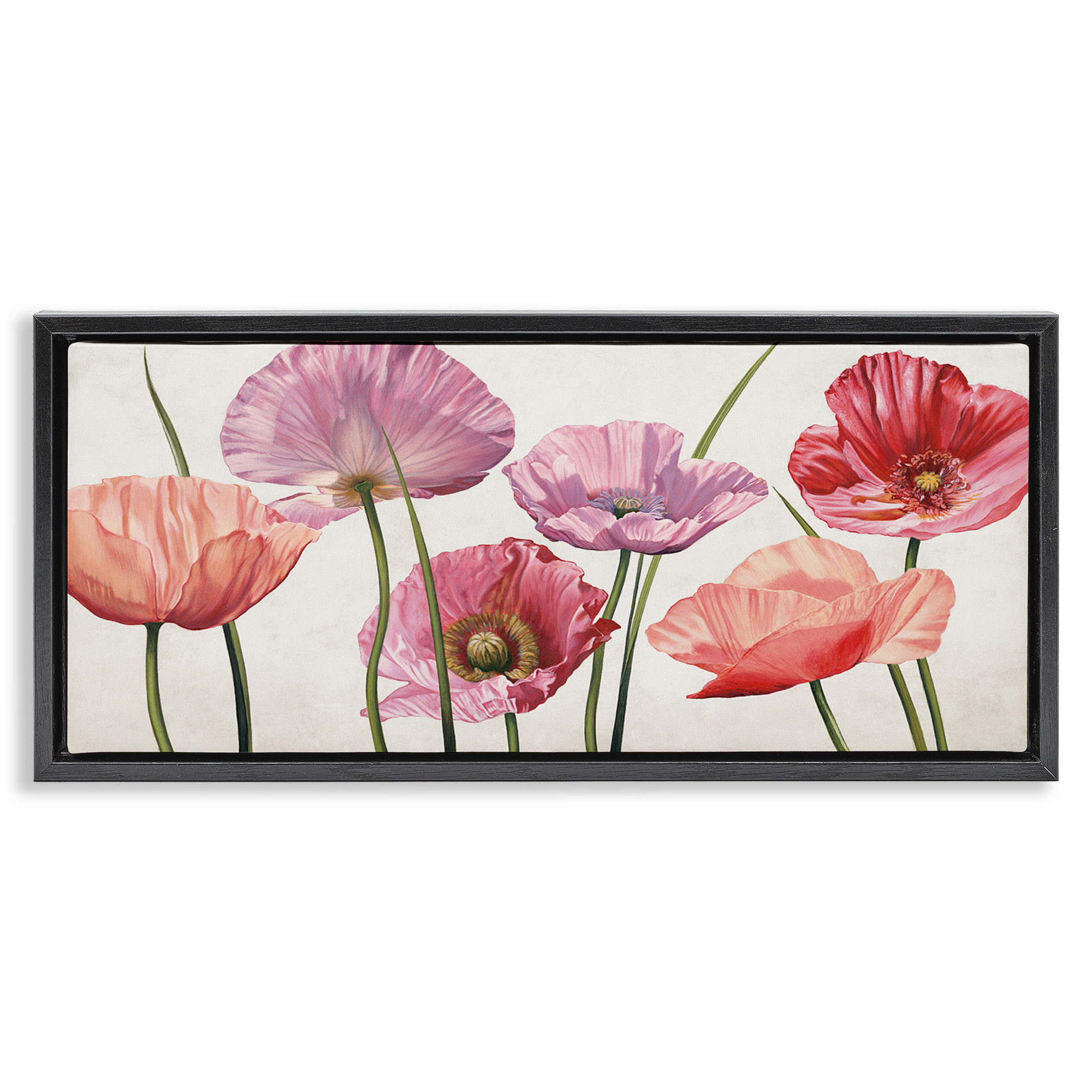 Stupell Industries Mixed Poppies with Vivid Petals Botanical & Floral Painting Black Floater Framed Canvas Art Print Wall Art, 31 x 14