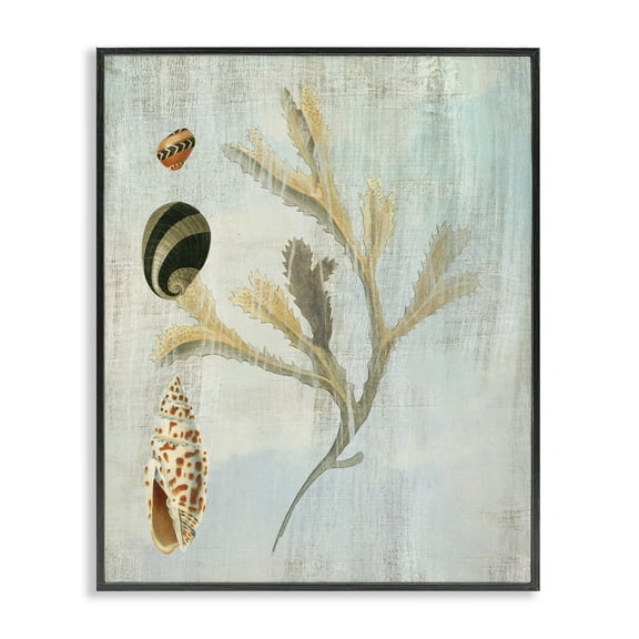 Stupell Industries Mixed Seashells & Coral Animals Painting Black Framed Art Print Wall Art, 11 x 14