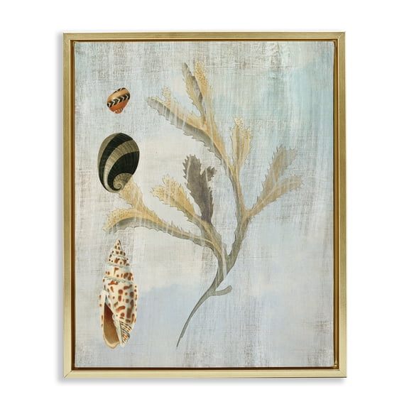 Stupell Industries Mixed Seashells & Coral Animals Painting Gold Floater Framed Canvas Art Print Wall Art, 25 x 31