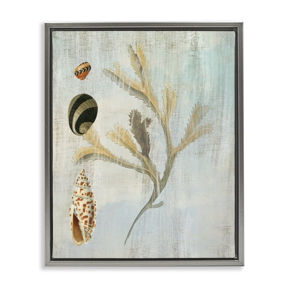 Stupell Industries Mixed Seashells & Coral Animals Painting Gray Floater Framed Canvas Art Print Wall Art, 17 x 21