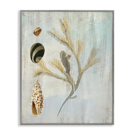 Stupell Industries Mixed Seashells & Coral Animals Painting Gray Framed Art Print Wall Art, 24 x 30