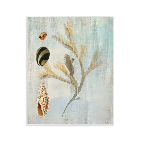 Stupell Industries Mixed Seashells & Coral Animals Painting Unframed Art Print Wall Art, 11 x 14