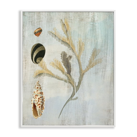 Stupell Industries Mixed Seashells & Coral Animals Painting White Framed Art Print Wall Art, 11 x 14