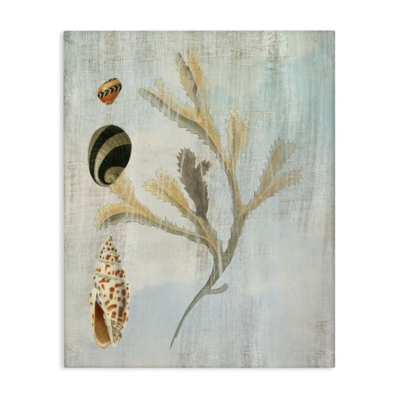 Stupell Industries Mixed Seashells & Coral Animals Painting Wrapped Canvas Canvas Art Print Wall Art, 24 x 30