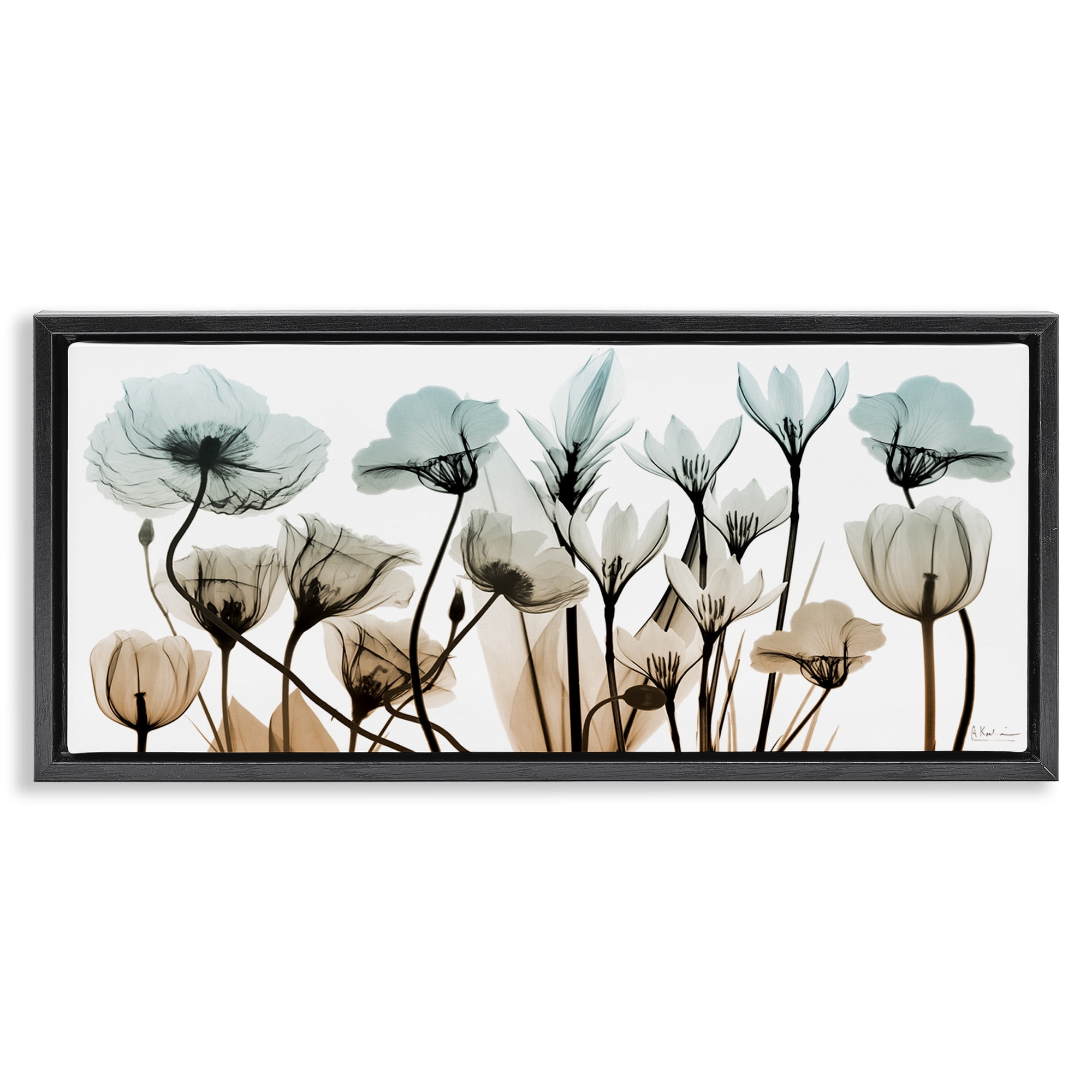 Stupell Industries Mixed Transparent Flowers Botanical & Floral Photography Black Floater Framed Canvas Art Print Wall Art, 31 x 14