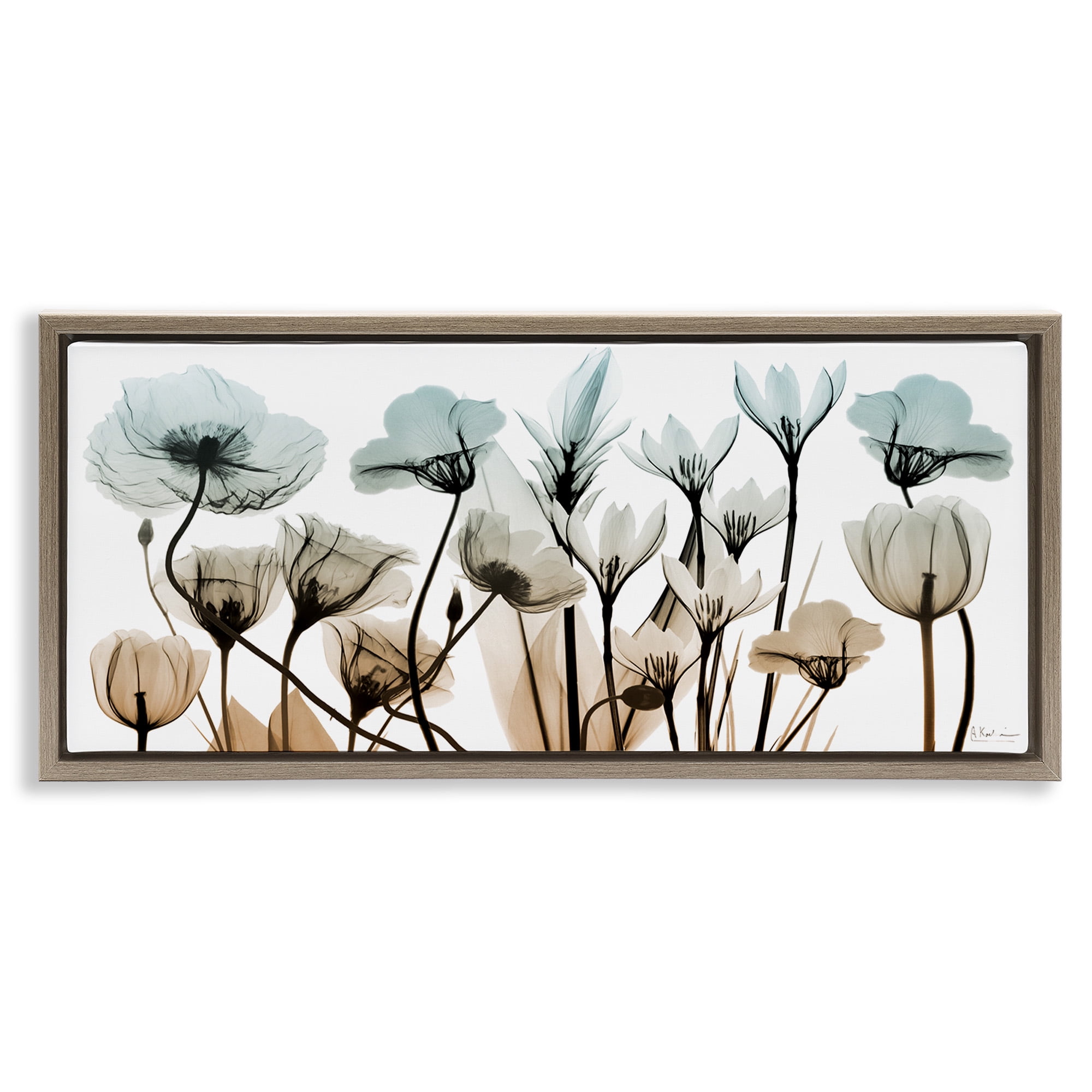 Stupell Industries Mixed Transparent Flowers Botanical & Floral Photography Brown Floater Framed Canvas Art Print Wall Art, 25 x 11