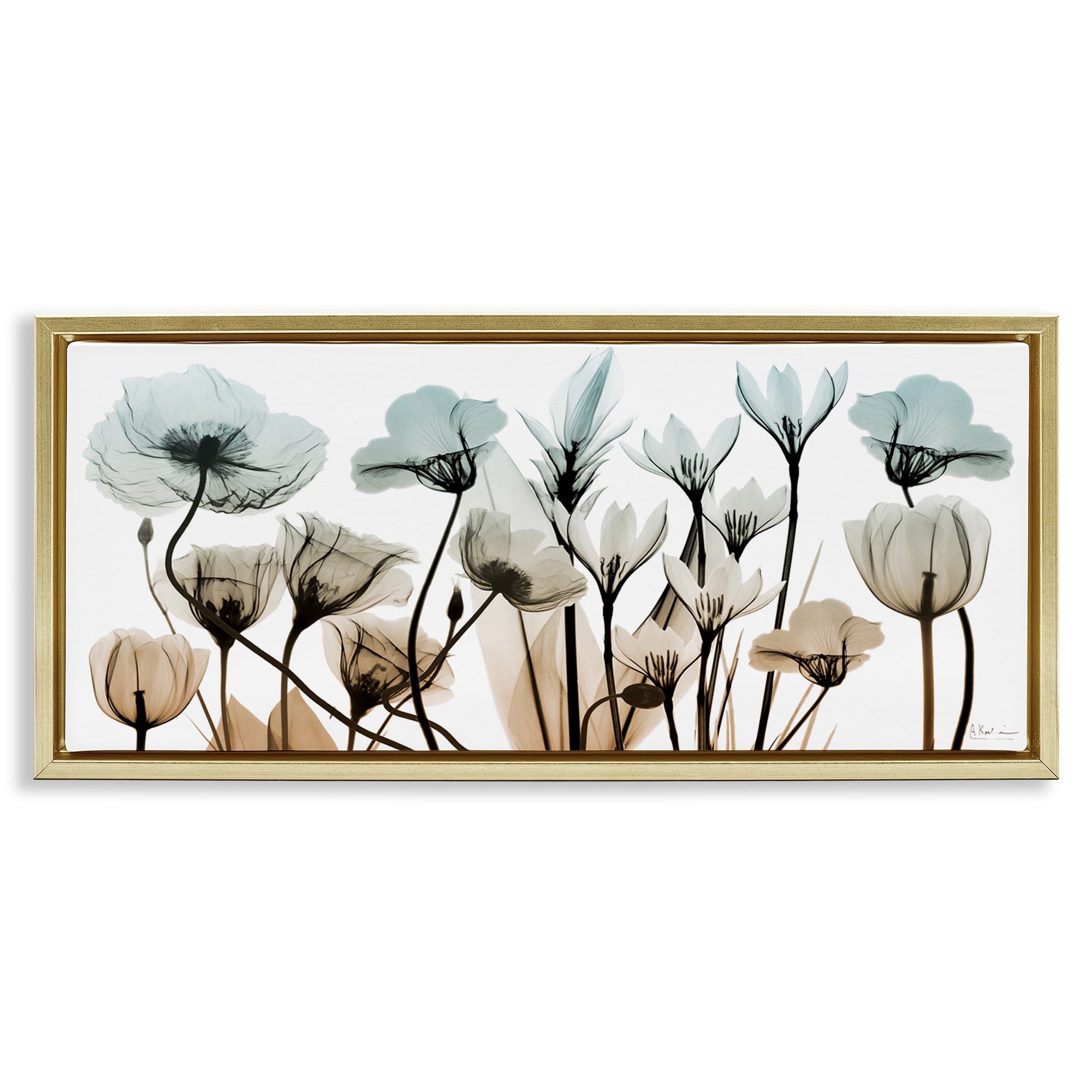Stupell Industries Mixed Transparent Flowers Botanical & Floral Photography Gold Floater Framed Canvas Art Print Wall Art, 25 x 11