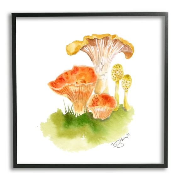 Stupell Industries Mixed Watercolor Mushrooms Botanical & Floral Painting Black Framed Art Print Wall Art, 12 x 12