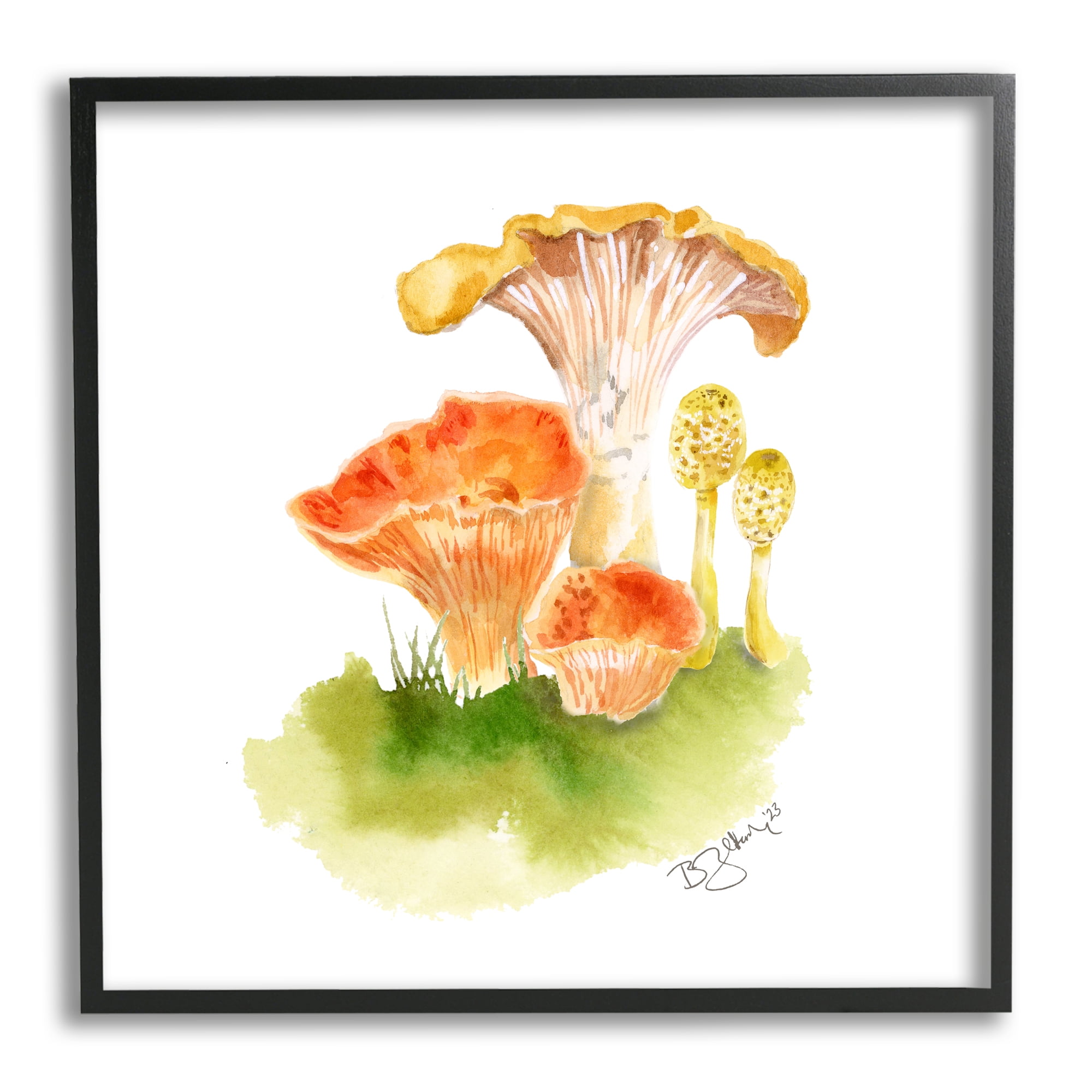 Stupell Industries Mixed Watercolor Mushrooms Botanical & Floral Painting Black Framed Art Print Wall Art, 17 x 17