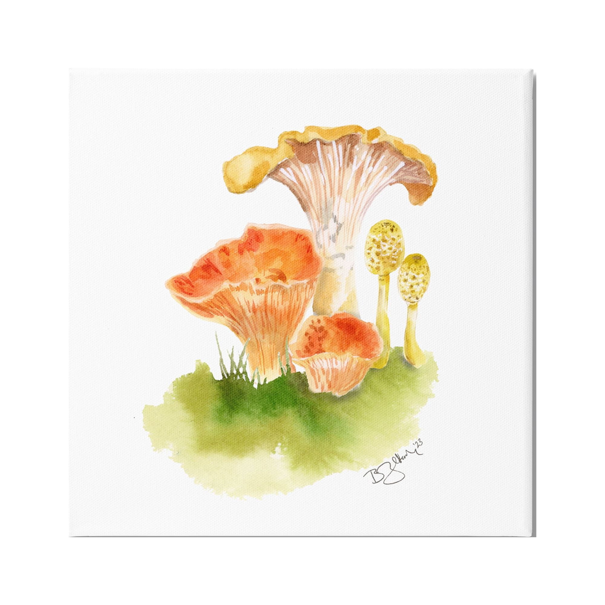 Stupell Industries Mixed Watercolor Mushrooms Botanical & Floral Painting Gallery Wrapped Canvas Art Print Wall Art, 36 x 36