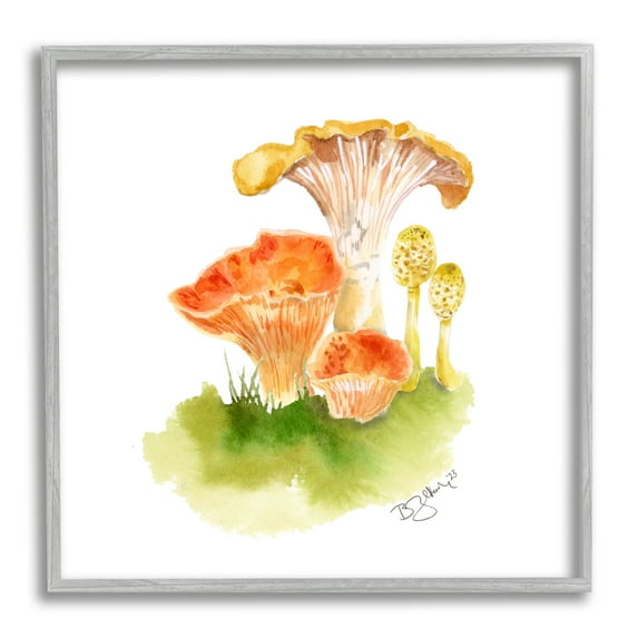 Stupell Industries Mixed Watercolor Mushrooms Botanical & Floral Painting Gray Framed Art Print Wall Art, 24 x 24