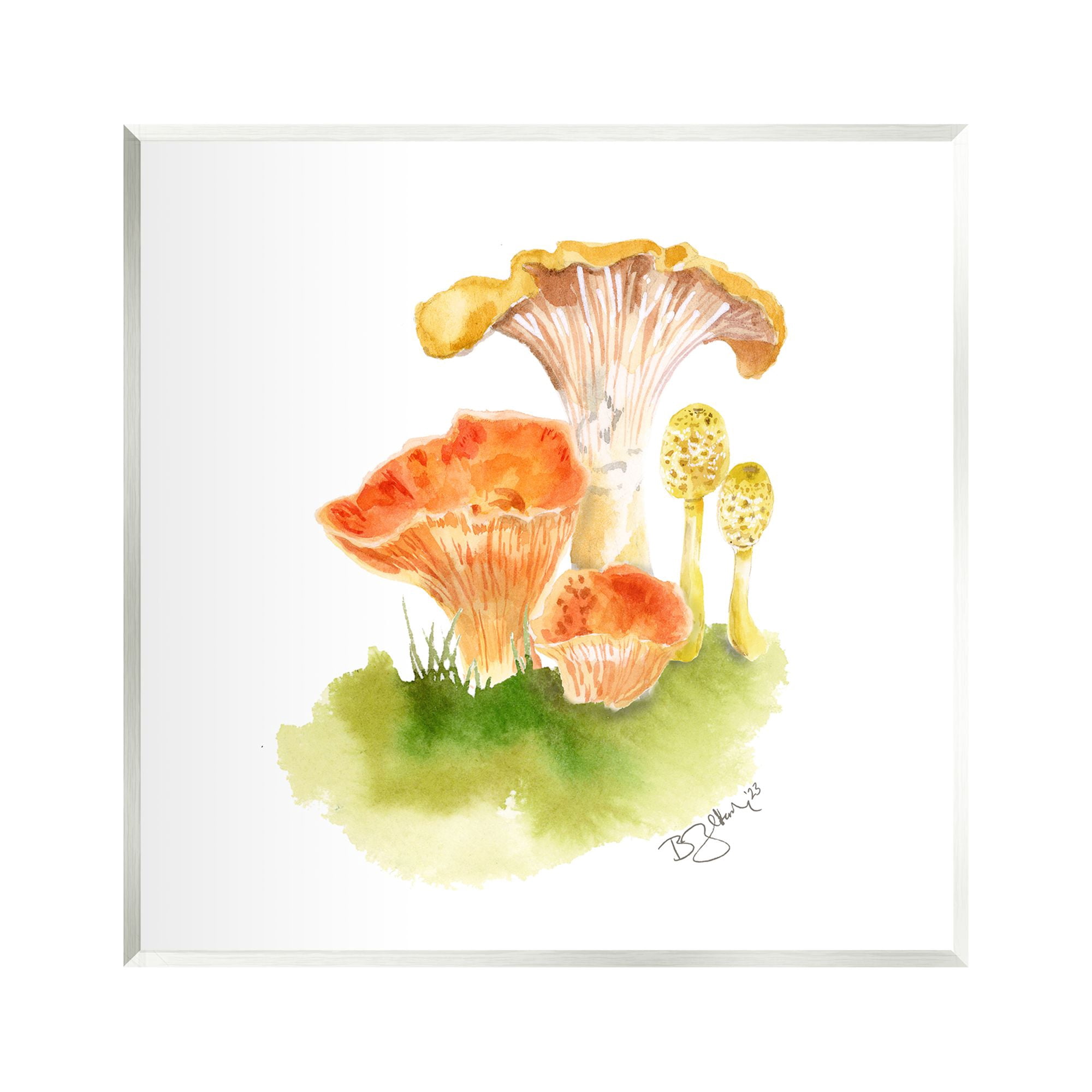 Stupell Industries Mixed Watercolor Mushrooms Botanical & Floral Painting Unframed Art Print Wall Art, 12 x 12