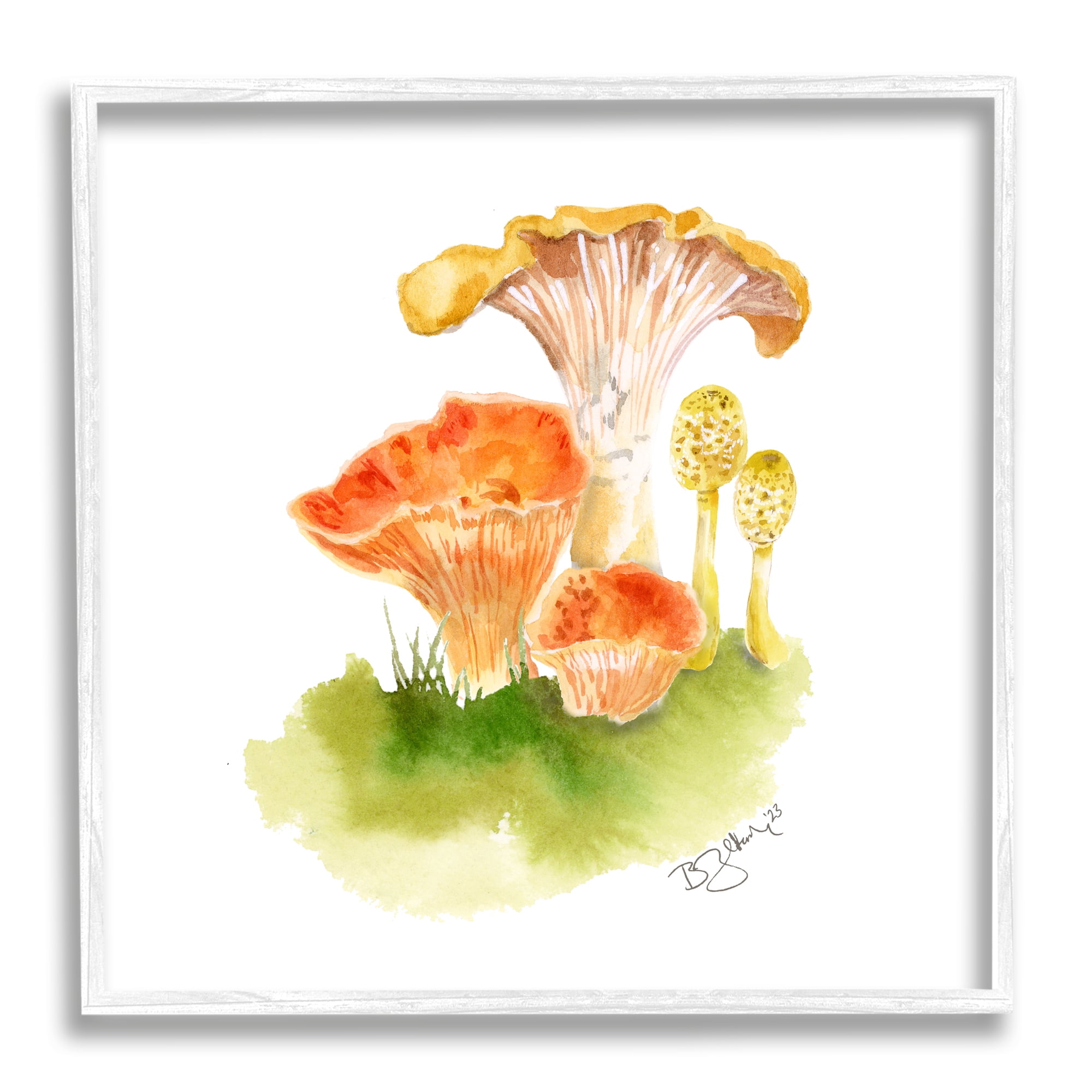 Stupell Industries Mixed Watercolor Mushrooms Botanical & Floral Painting White Framed Art Print Wall Art, 17 x 17