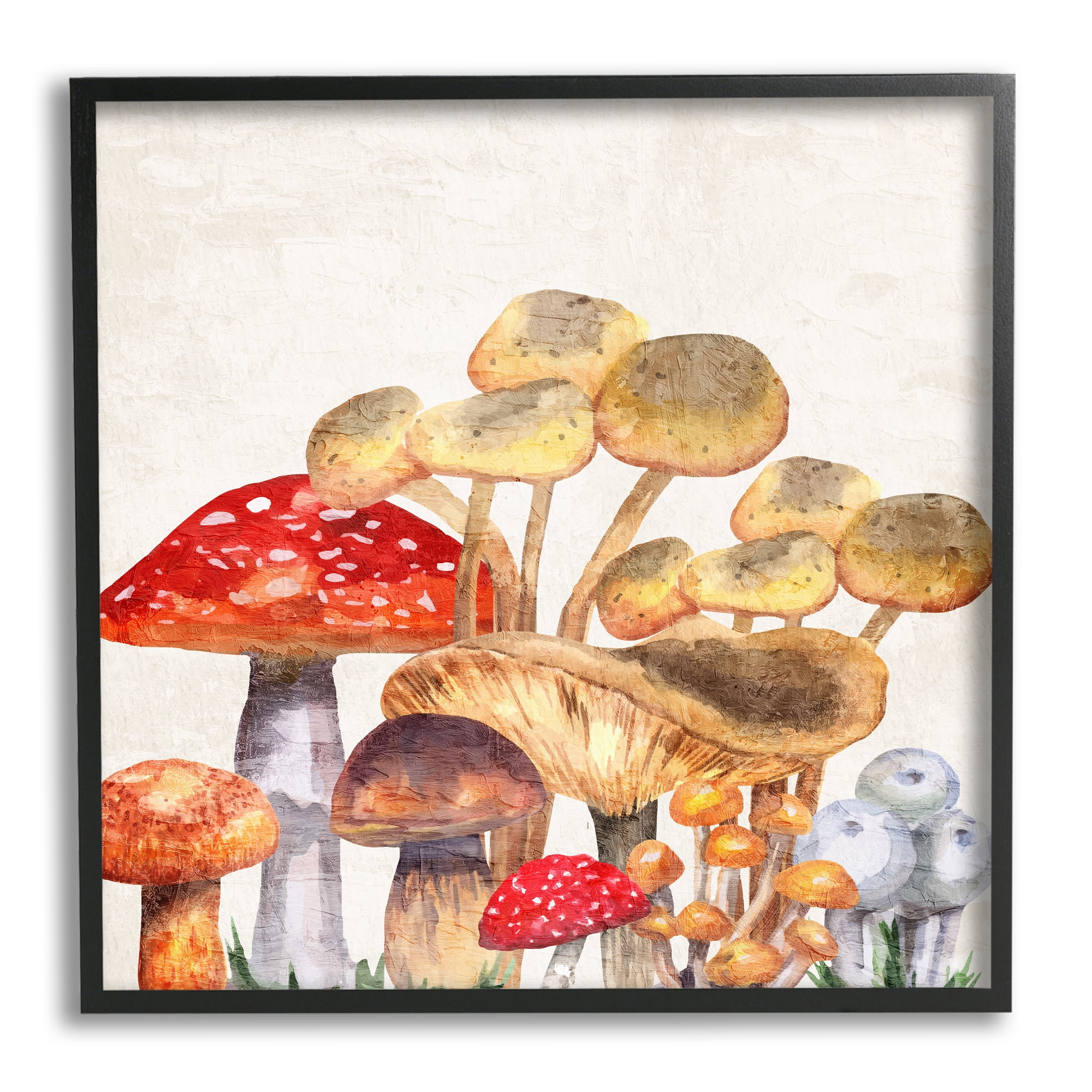 Stupell Industries Mixed Woodland Mushrooms Botanical & Floral Painting Black Framed Art Print Wall Art, 12 x 12