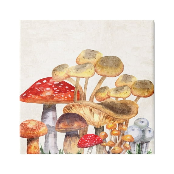 Stupell Industries Mixed Woodland Mushrooms Botanical & Floral Painting Gallery Wrapped Canvas Print Wall Art, 17 x 17