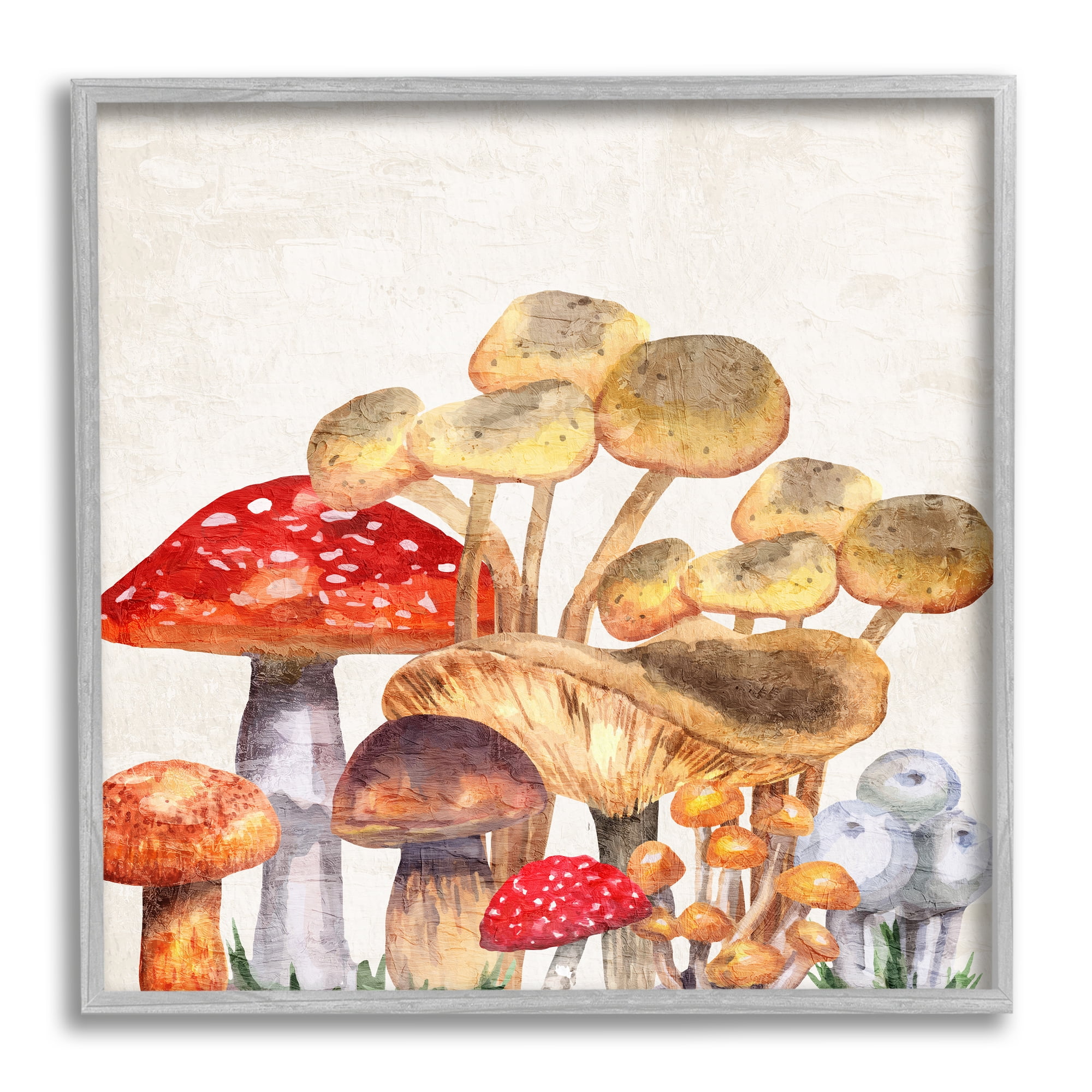 Stupell Industries Mixed Woodland Mushrooms Botanical & Floral Painting Gray Framed Art Print Wall Art, 12 x 12