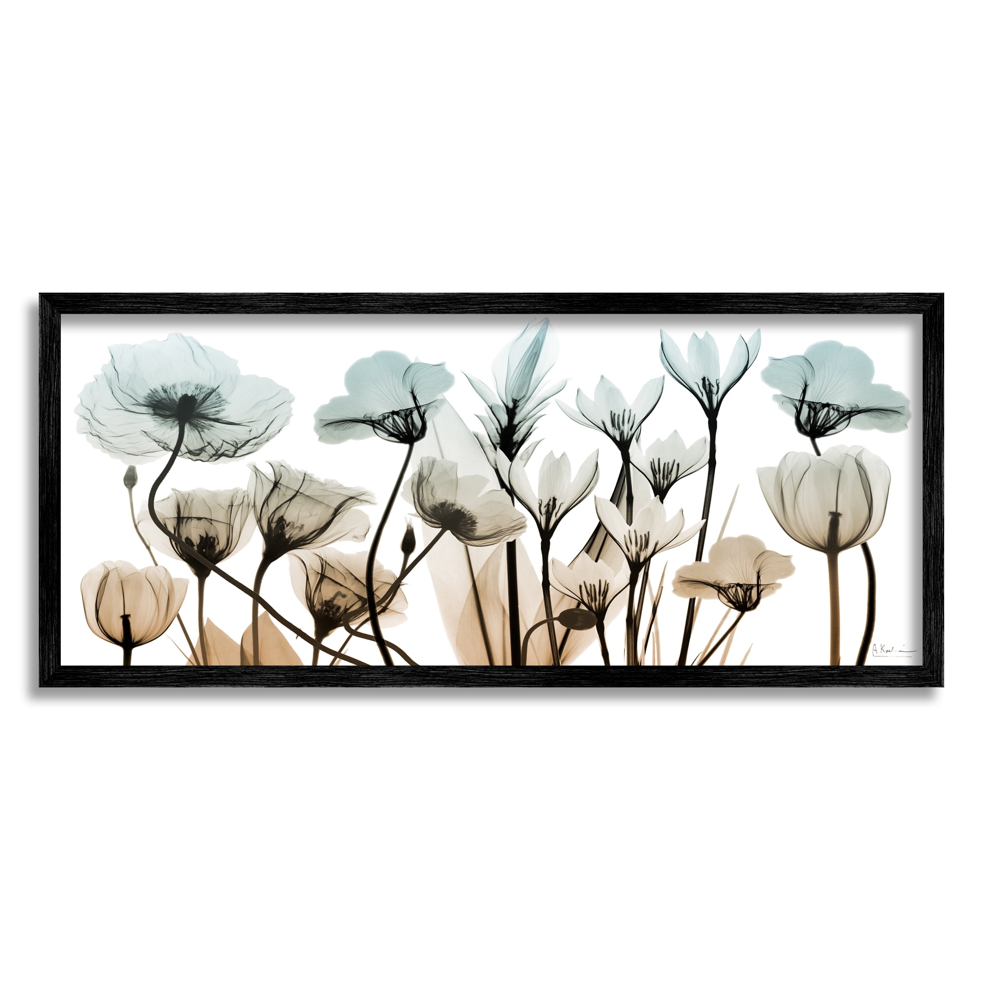 Stupell Industries Mixed X-Ray Flowers Botanical & Floral Photography Black Framed Art Print Wall Art, 24 x 10