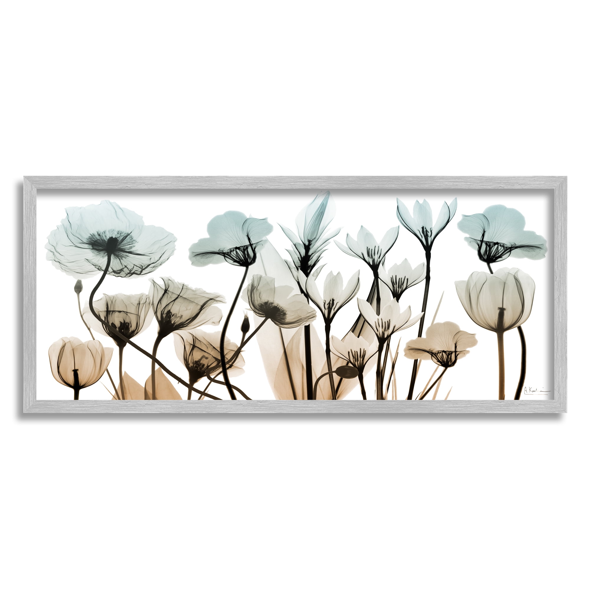 Stupell Industries Mixed X-Ray Flowers Botanical & Floral Photography Gray Framed Art Print Wall Art, 30 x 13